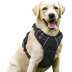 Individuelles No-Pull-Hundegeschirr