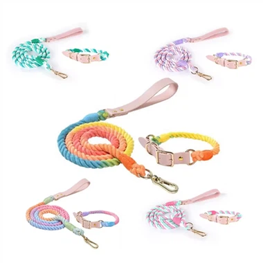 Individuelles Luxus-Halsband- und Leinenset aus Leder für Haustiere